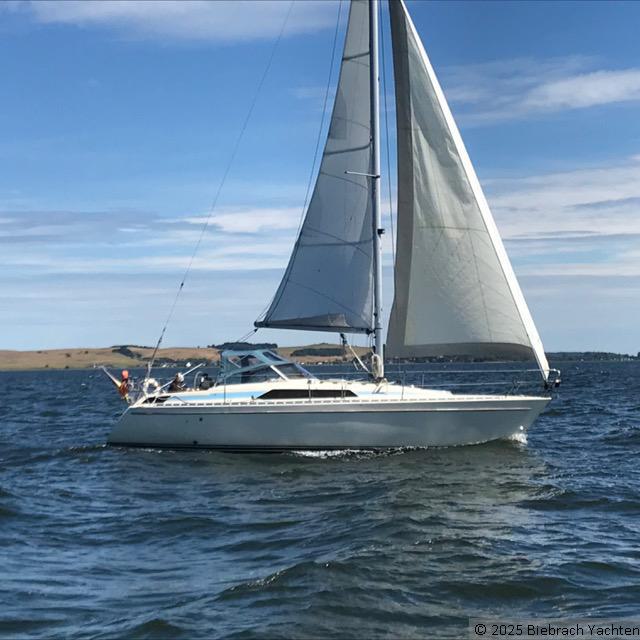 Boot 56